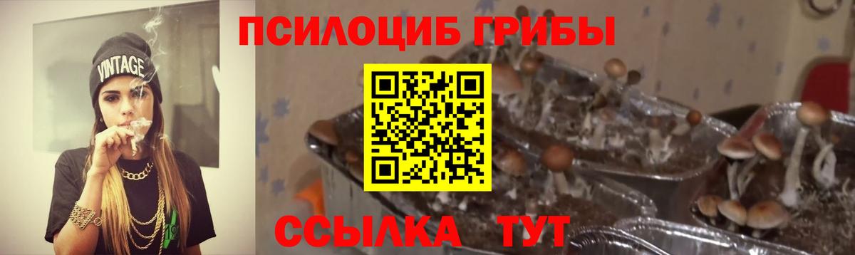 Галлюциногенные грибы мухоморы  Вход с VPN  Псилоцибиновые грибы ЛСД  Тавда 